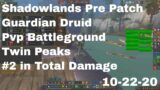 World of Warcraft Shadowlands Pre Patch Guardian Druid Pvp Battleground, Twin Peaks, 10-22-20