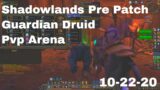 World of Warcraft Shadowlands Pre Patch Guardian Druid Pvp Skirmish, 10-22-20