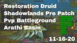 World of Warcraft Shadowlands Pre Patch Restoration Druid Pvp Battleground, Arathi Basin, 11-16-20