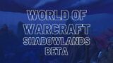 World of Warcraft: Shadowlands beta (Leveling)
