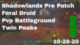 World of Warcraft Shadowlands Pre Patch Feral Druid Pvp Battleground, Twin Peaks, 10-28-20