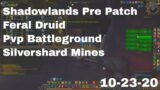 World of Warcraft Shadowlands Pre Patch Feral Druid Pvp Battleground, Silvershard Mines, 10-23-20