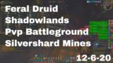 World of Warcraft Shadowlands Feral Druid Pvp Battleground, Silvershard Mines, 12-6-20