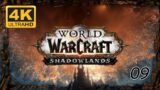 WOW SHADOWLANDS 4K UHD Gameplay Walkthrough PRE-PATCH LEVELING 1-50 | EPISODE 9 Priest Level 42-45