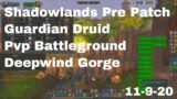 World of Warcraft Shadowlands Pre Patch Guardian Druid Pvp Battleground, Deepwind Gorge, 11-9-20