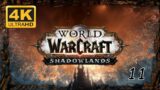 WOW SHADOWLANDS 4K UHD Gameplay Walkthrough PRE-PATCH LEVELING 1-50 | EPISODE 11 Priest Level 46-50