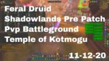 World of Warcraft Shadowlands Pre Patch Feral Druid Pvp Battleground, Temple of Kotmogu, 11-12-20