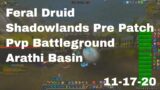 World of Warcraft Shadowlands Pre Patch Feral Druid Pvp Battleground, Arathi Basin, 11-17-20