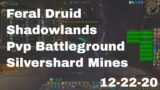 World of Warcraft Shadowlands Feral Druid Pvp Battleground, Silvershard Mines, 12-22-20