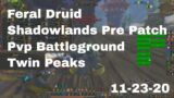 World of Warcraft Shadowlands Pre Patch Feral Druid Pvp Battleground, Twin Peaks, 11-23-20