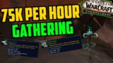 75k Gold per Hour Herbalism & Mining in The Maw! Shadowlands Goldfarm