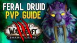9.0 FERAL DRUID SHADOWLANDS PVP GUIDE | Talents, Legendaries, Covenants, Rotation and MORE!