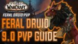 9.0 Feral Druid PvP Guide – How to Play Feral Druid – WoW Shadowlands 9.0.2
