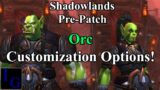 All Orc Male & Female Customizations! | WoW Shadowlands Pre-Patch