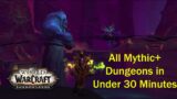 All Shadowlands Mythic+ Dungeons in Under 30 Minutes