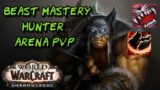 BEAST MASTERY HUNTER Arena PvP 3v3 – WoW Shadowlands