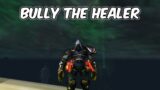 BULLY THE HEALER – Subtlety Rogue PvP – WoW Shadowlands 9.0.2