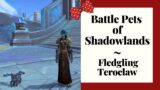 Battle Pets of Shadowlands – The Fledgling Teroclaw