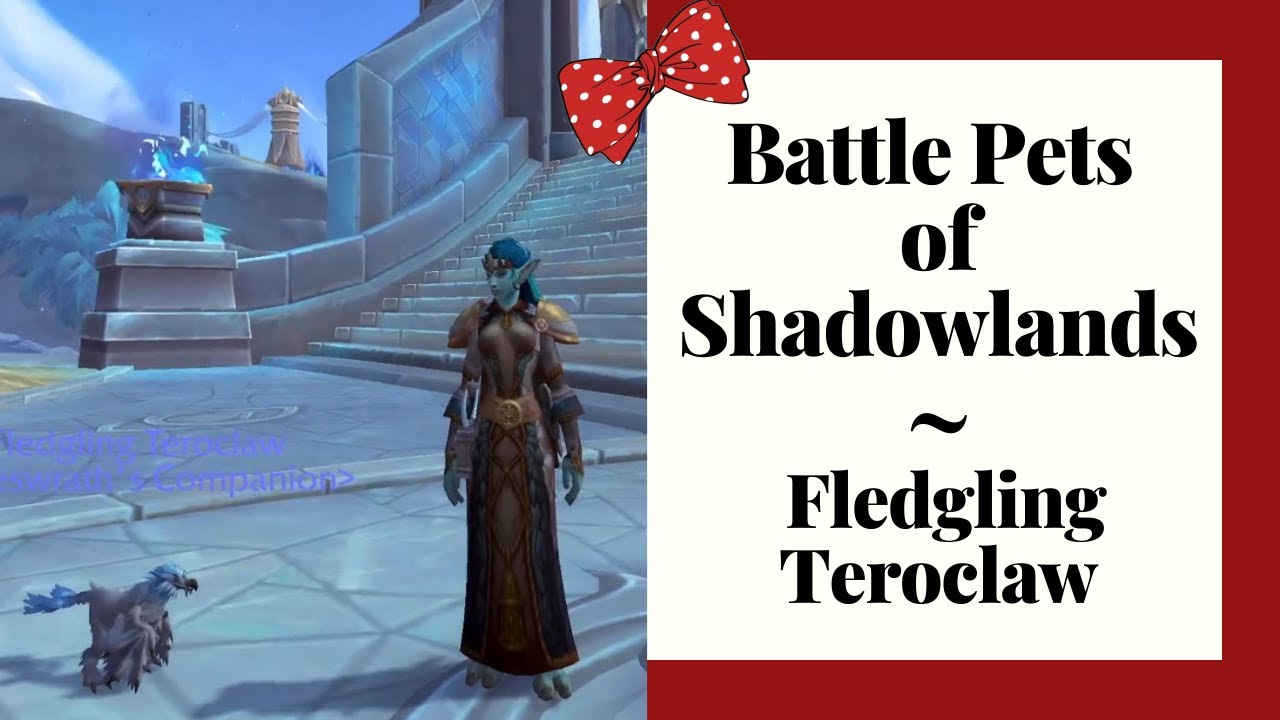 Battle Pets of Shadowlands The Fledgling Teroclaw World of Warcraft videos