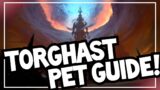 Best Pets for TORGHAST! | Torghast Hunter Pet Guide | World of Warcraft Shadowlands 9.0.2