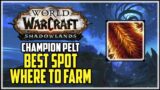 Champion's Pelt Best Place to Farm WoW Shadowlands