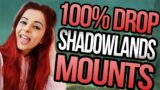 EASY 100% drop Mounts | A Quick Guide to NEW Shadowlands Mounts and Rares