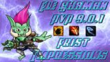 Elemental Shaman PvP 9.0.1 | Pre Patch Shadowlands | Frist Impressions | I love it!