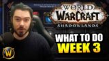 Endgame BEGINS – Your top priorities for week 3 of Shadowlands!