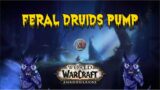 Feral Druid Mythic Plus Guide/Build Shadowlands 9.0.2