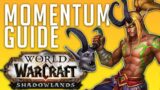 HAVOC DH | MOMENTUM GUIDE | DEMON HUNTER IN SHADOWLANDS