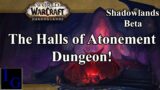 Halls of Atonement Dungeon! Full Clear Blood DK PoV | WoW Shadowlands Beta