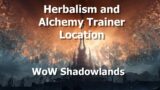 Herbalism and Alchemy Trainer Location in WoW Shadowlands