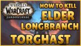 How To Kill Elder Longbranch! Torghast – World of Warcraft Shadowlands