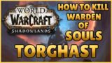 How To Kill Warden of Souls! Torghast – World of Warcraft Shadowlands!
