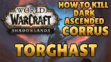 How to Kill Dark Ascended Corrus! Torghast – World of Warcraft Shadowlands