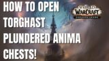 How to Open Plundered Anima Torghast Chests – Shadowlands WoW