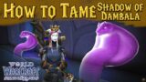 How to Tame the SHADOW OF DAMBALA | World of Warcraft: Shadowlands | Night Fae Hunter