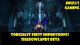 LET'S FIND BUTTONS: TORGHAST FIRST IMPRESSIONS! | World of Warcraft Shadowlands Beta