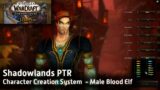Let's Play WoW – Shadowlands PTR: Character Creation System – Male Void Elf and Blood Elf