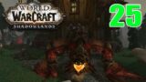 Let's Play: World of Warcraft Shadowlands | Hunter Leveling | EP. 25 | Vykrul
