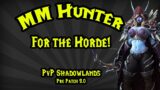 Marksmanship Hunter – Great fun | WoW PvP Pre Patch 9.0 Shadowlands | DE/GER