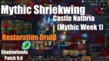 Mythic Shriekwing! – Restoration Druid PoV – Castle Nathria – World of Warcraft Shadowlands