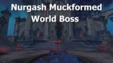 Nurgash Muckformed–World Boss–Unholy DK–Warlock Destruction–WoW Shadowlands