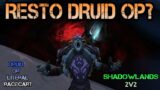 RESTO DRUID IS STRONG!?!? I Shadowlands 2v2 PvP