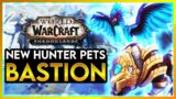 SHADOWLANDS BASTION NEW HUNTER PETS // The NEW PETS are AMAZING! PET Spawn LOCATION BASTION
