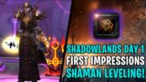 SHADOWLANDS LAUNCH WITH MIKEFIELD AND SIS | Shaman tonight! | World of Warcraft: Shadowlands!
