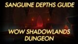 Sanguine Depths Guide | WoW Shadowlands Dungeon
