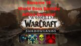 Semana 6 Dicas. World Boss M+ world of warcraft shadowlands