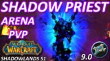 Shadow Priest Arena | BIG DAMAGE THIS SEASON | WoW Shadowlands Season 1 2v2 3v3