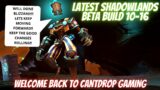 Shadowlands Beta Hunter Update For 10-16
